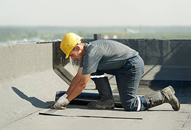 Best Commercial Insulation in Rogersville, MO